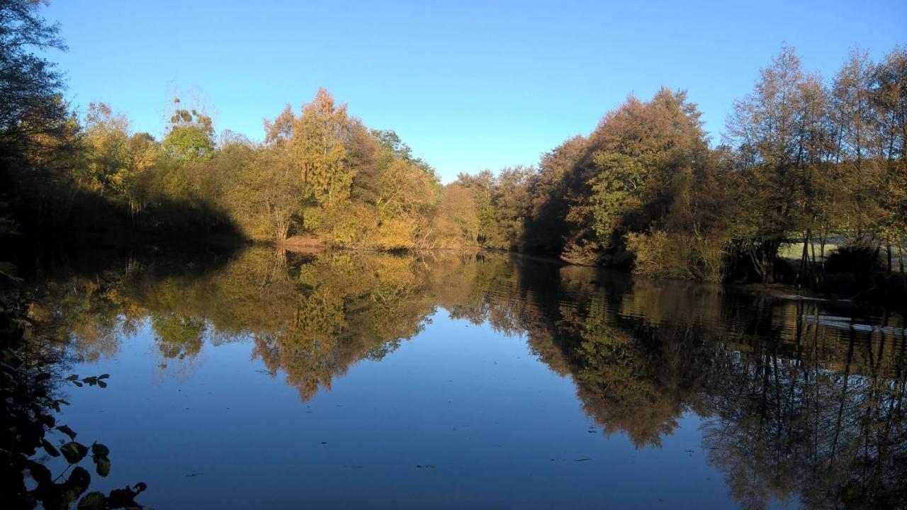 Gite Des Etangs De Beaulieu Le Plessis-Dorin Εξωτερικό φωτογραφία
